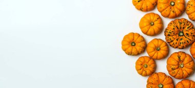 Beyaz izole arka planda balkabakları. Sarı sonbahar hasat balkabakları boş zemin üzerinde. Sonbahar tatilleri, Cadılar Bayramı, Şükran Günü, yemek konsepti. Yüksek kalite fotoğraf