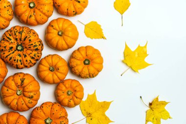 Beyaz izole arka planda balkabakları. Sarı sonbahar hasat balkabakları boş zemin üzerinde. Sonbahar tatilleri, Cadılar Bayramı, Şükran Günü, yemek konsepti. Yüksek kalite fotoğraf