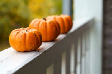 Sonbahar arkaplanı. Dekorasyon için balkabakları ve Cadılar Bayramı ve Şükran Günü için ev dekorasyonu. Ekim, Kasım, atmosfer ve sonbahar ruh hali kavramı. Yüksek kalite fotoğraf