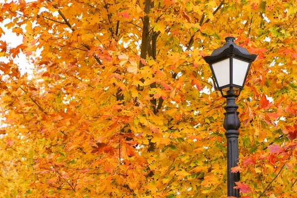 Herbstpark Mit Laterne Atmosphäre Und Stimmung Des Herbstes Und Der — Stockfoto