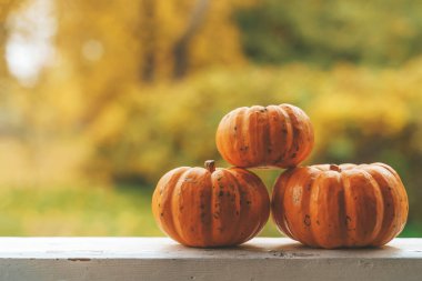 Sonbahar arkaplanı. Dekorasyon için balkabakları ve Cadılar Bayramı ve Şükran Günü için ev dekorasyonu. Ekim, Kasım, atmosfer ve sonbahar ruh hali kavramı. Yüksek kalite fotoğraf