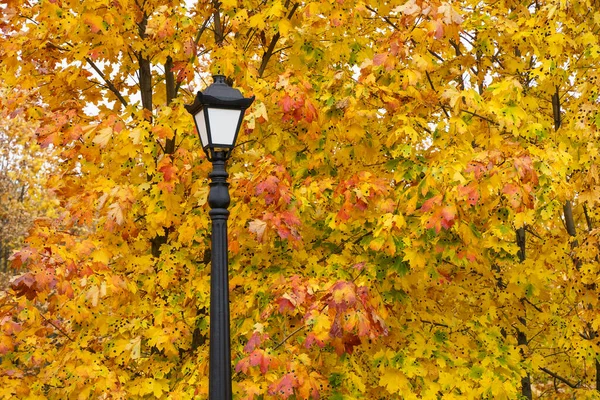 Herbstpark Mit Laterne Atmosphäre Und Stimmung Des Herbstes Und Der — Stockfoto