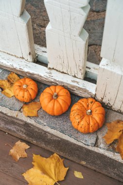 Sonbahar arkaplanı. Dekorasyon için balkabakları ve Cadılar Bayramı ve Şükran Günü için ev dekorasyonu. Ekim, Kasım, atmosfer ve sonbahar ruh hali kavramı. Yüksek kalite fotoğraf