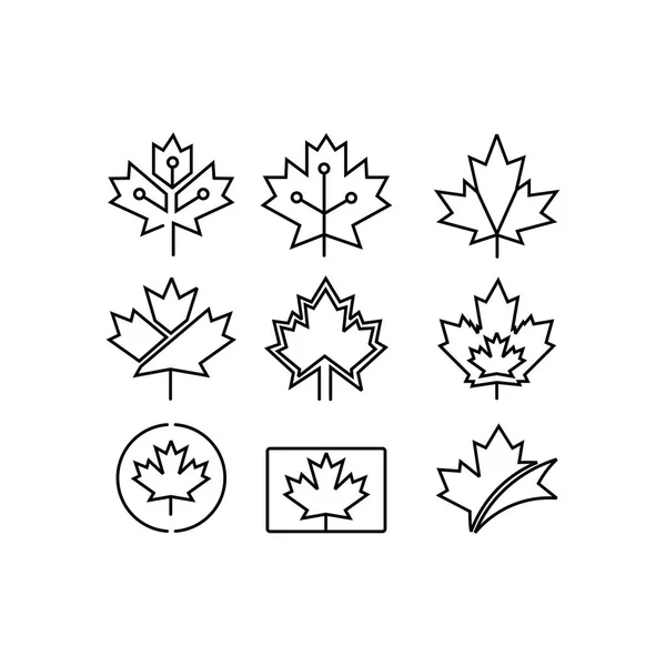Emblème National Canada Ensemble Icônes Vectorielles Linéaires Gradient Importance Symbole — Image vectorielle