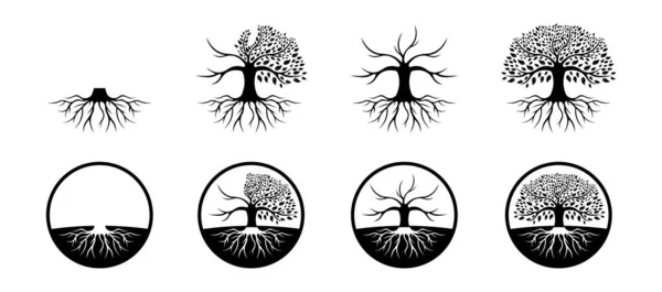 Arbre Vie Logo Design Inspiration Isolé Sur Fond Blanc Chêne — Image vectorielle