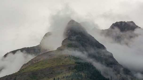 Dimma Över Berget Efter Regn Timelapse — Stockvideo