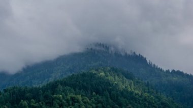 Dağların tepesindeki bulutlar denizi Himachal zaman diliminde
