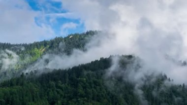 Himachal 'da dağ üstüne yağmur yağıyor.