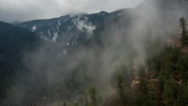 Ομίχλη Στο Δάσος Των Βουνών — Αρχείο Βίντεο