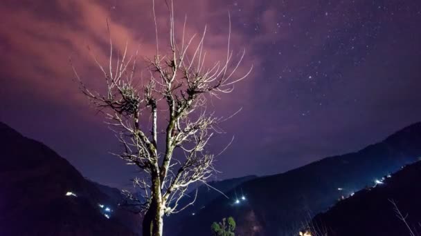 Bulutlu Gece Himalayalar Daki Kuru Ağaçların Üzerinden Geçiyor — Stok video