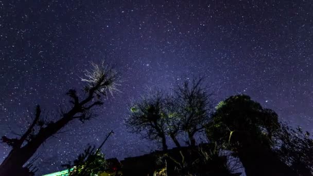 Timelapse Nuit Étoilée Sur Vue Des Arbres Depuis Angle Bas — Video