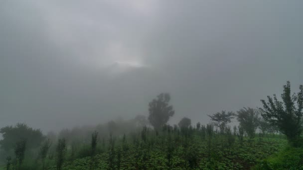 Grand Parc National Himalayen Dans Les Nuages Mer Timelapse — Video