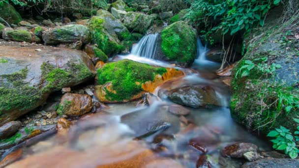 Smooth Waterstream Waterfall Timelapse — Stock Video