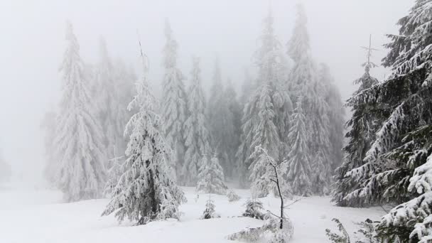 Paysage hivernal