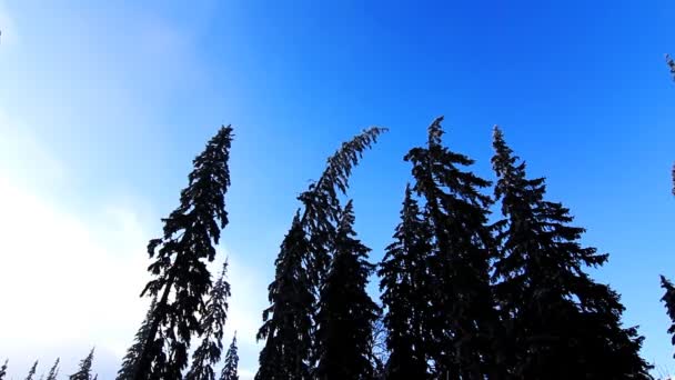 Nuages