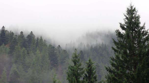 Paysage de montagne