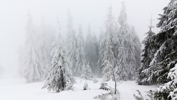 Paysage hivernal