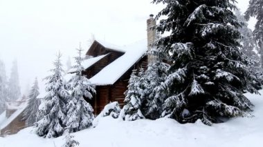 Kış ağaçların altında kar