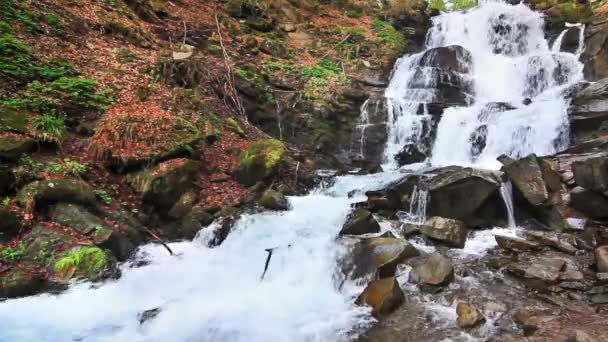 Fluss in den Bergen — Stockvideo