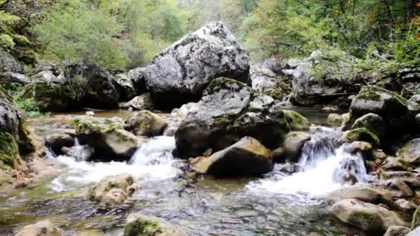 Wunderland. kleine Wasserfälle in einem ruhigen Wald. — Stockvideo