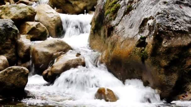 Pequenas cachoeiras em uma floresta pacífica. — Vídeo de Stock