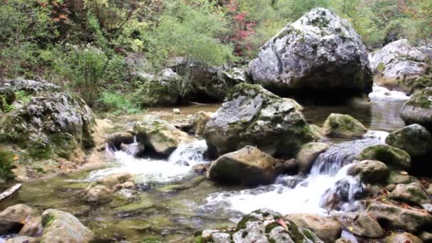 País de las maravillas. Pequeñas cascadas en un bosque tranquilo . — Vídeos de Stock