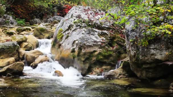 Paese delle meraviglie. Piccole cascate in un bosco tranquillo . — Video Stock