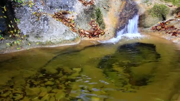 Wonderland. Little waterfalls in a peaceful wood. — Stock Video