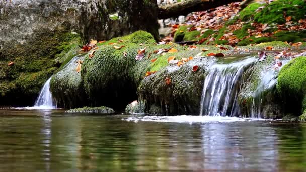 Fluss in den Bergen — Stockvideo