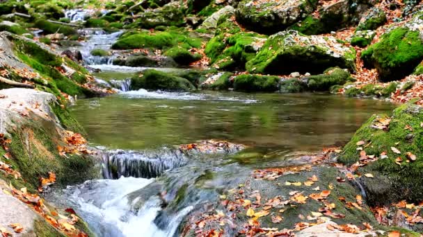 Little waterfalls in a peaceful wood. — Stock Video