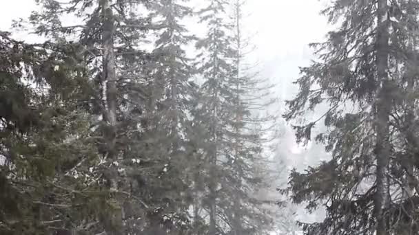 Tempesta di neve — Video Stock