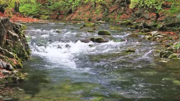 Río en las montañas — Vídeos de Stock