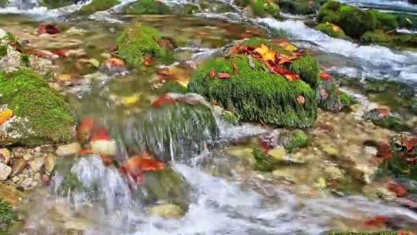 Fluss in den Bergen — Stockvideo