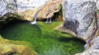 Huzurlu bir ormanda küçük şelaleler.