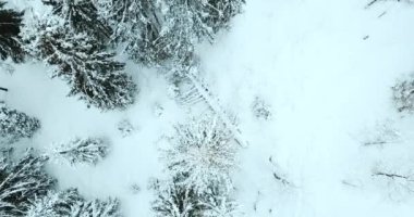 Dağlarda görkemli bir gündoğumu görüntüsü. Dağlar arasındaki vadi sisle kaplıdır ve yükselen güneşin sıcak ışınlarıyla aydınlanır. Dağlar doğal ormanlarla kaplı..