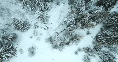 Dağlarda görkemli bir gündoğumu görüntüsü. Dağlar arasındaki vadi sisle kaplıdır ve yükselen güneşin sıcak ışınlarıyla aydınlanır. Dağlar doğal ormanlarla kaplı..