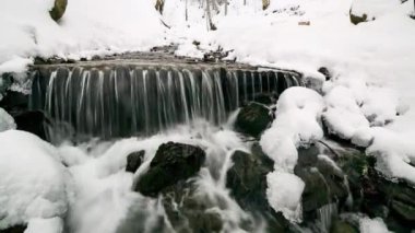 Ukrayna 'daki Karpat Dağları' nda güçlü bir su akıntısı olan harika donmuş bir şelale ayağı. Gemi. Taşlar, kayalar ormanla çevrili Noel ağaçları ve çam ağaçları
