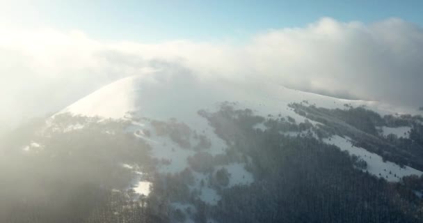 空中拍摄山中壮观的日出.高山之间的山谷被雾覆盖着，被升起的太阳的温暖光芒照亮着。森林覆盖的山脉. — 图库视频影像