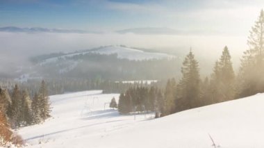 Kış ormanı anteninde gün doğumu. Donuk hiç kimse doğa manzarası. Alp karı sabah sisinde ağaçları kapladı. Nefes kesici doğal güzellik. Güneş pembe ışıkta doğar. Çam Ormanı.
