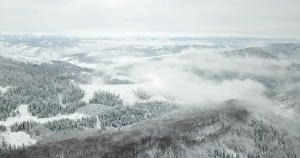 З великих високогірних рівнинних гірських ландшафтів вкриті альпійськими гострими вершинами. Дика зима в Карпатських горах, Україна. Густі білі хмари. Відкрите місце. Аеростат 4K — стокове відео