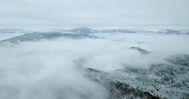 Desde gran altura cuento de hadas montaña paisaje nevado cubierto de picos agudos alpinos. Invierno salvaje en las montañas Cárpatas, Ucrania. Nubes blancas gruesas. Espacio abierto. Aéreo 4K — Vídeo de stock