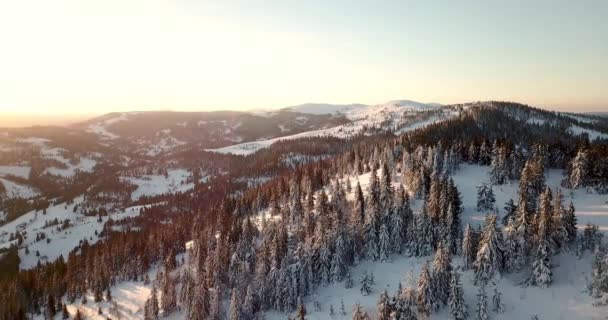 Da grande altezza paesaggio montano fiabesco innevato cime alpine taglienti. Inverno selvaggio nei Carpazi, Ucraina. Nuvole bianche spesse. Spazio aperto. Aereo 4K — Video Stock