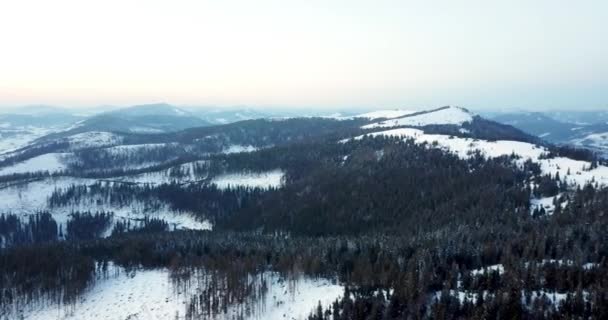 Από μεγάλο παραμύθι ορεινό τοπίο χιόνι καλύπτονται αλπικές αιχμηρές κορυφές. Άγριος χειμώνας στα Καρπάθια βουνά, Ουκρανία. Πυκνά άσπρα σύννεφα. Ανοιχτό χώρο. Εναέρια 4K — Αρχείο Βίντεο