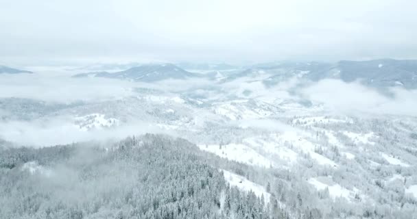 Da grande altezza paesaggio montano fiabesco innevato cime alpine taglienti. Inverno selvaggio nei Carpazi, Ucraina. Nuvole bianche spesse. Spazio aperto. Aereo 4K — Video Stock