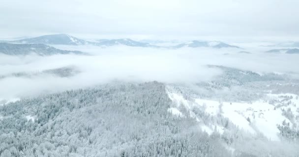 Da grande altezza paesaggio montano fiabesco innevato cime alpine taglienti. Inverno selvaggio nei Carpazi, Ucraina. Nuvole bianche spesse. Spazio aperto. Aereo 4K — Video Stock