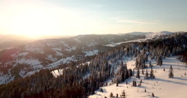 높이 솟은 산등성 이 의 눈 이 산봉우리들을 덮고 있었다. 우크라이나 카르파티아 산맥의 겨울. 짙은 흰 구름. 열린 공간. 항공 4K — 비디오