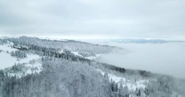 Peri masallarındaki dağ manzarasından. Alp sivri tepeleri karla kaplanmış. Ukrayna, Karpat dağlarında vahşi kış. Kalın beyaz bulutlar. Açık alan. Hava 4K