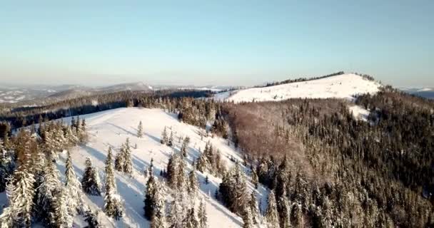 Dari puncak pegunungan dongeng yang tinggi salju menutupi puncak-puncak alpen yang tajam. Musim dingin yang panjang di pegunungan Carpathia, Ukraina. Awan putih tebal. Ruang terbuka. Aerial 4K — Stok Video