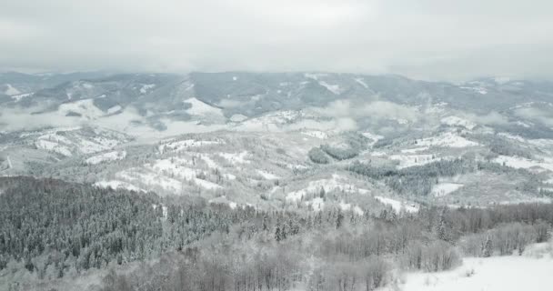 Z velké výšky pohádková horská krajina sníh pokryl alpské ostré štíty. Divoká zima v Karpat, Ukrajina. Silné bílé mraky. Otevřít prostor. Letecký 4K — Stock video