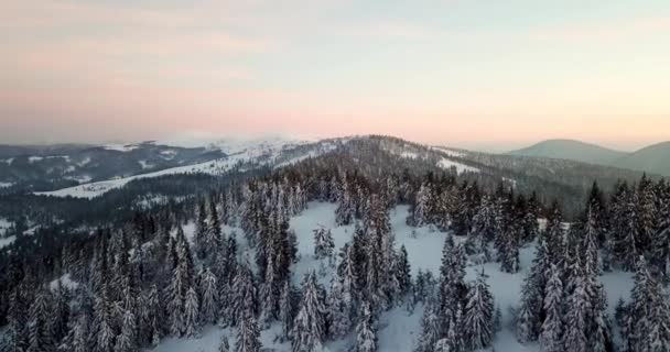 Από μεγάλο παραμύθι ορεινό τοπίο χιόνι καλύπτονται αλπικές αιχμηρές κορυφές. Άγριος χειμώνας στα Καρπάθια βουνά, Ουκρανία. Πυκνά άσπρα σύννεφα. Ανοιχτό χώρο. Εναέρια 4K — Αρχείο Βίντεο
